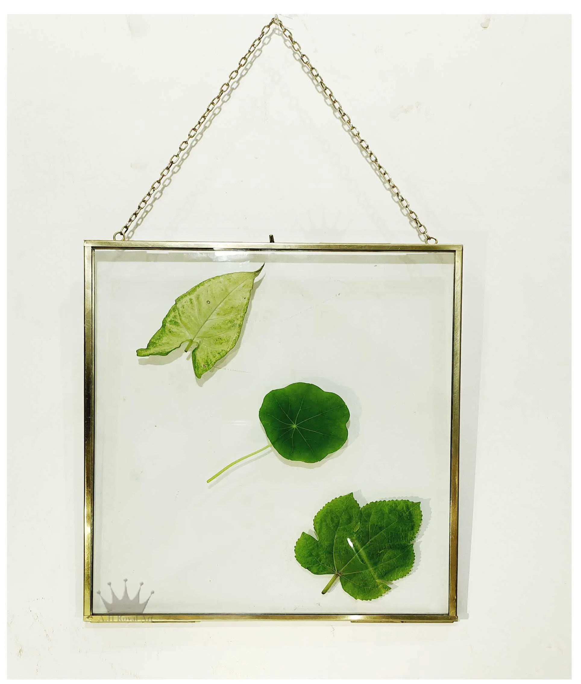 A.H Royal Decorative Brass & Glass Hanging Square Photo Frame with Pressed Glass (Size - 7x7 inch)