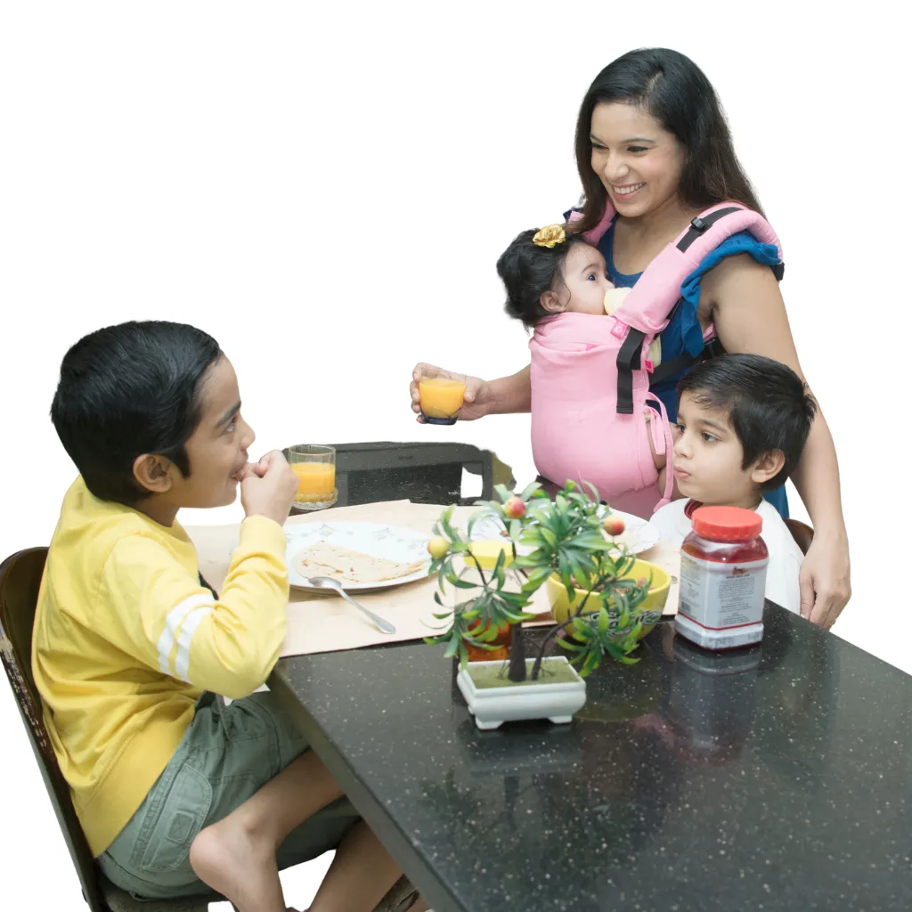 Anmol Baby Ergonomic Baby Carrier- Flexy