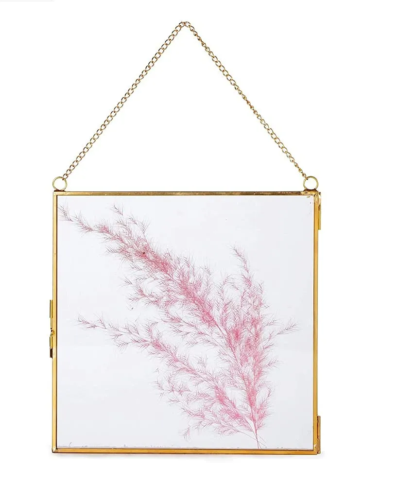 Art India Collections Wall Hanging Square Shape Brass Glass Photo Frame for Dried Flowers, Pressed Flowers, Poster, Double Glass, Floating Frame for Gifting 10x10 inches (25x25 cm)