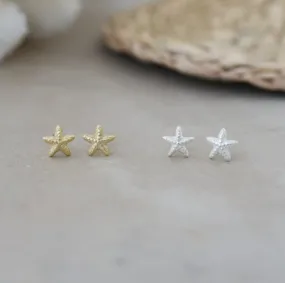 Baby Starfish Studs