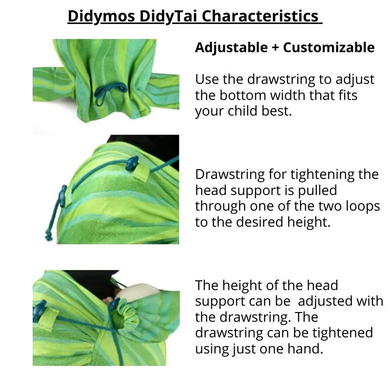 Carrying Connects DidyTai Mei Tai by Didymos