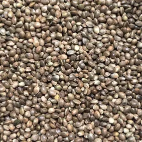 Dry Hemp Seed Unprepared 1kg