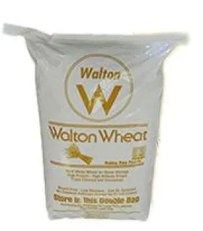 Rainy Day Foods Hard White Wheat Natural Paper 50 lbs Bag - 228 Servings