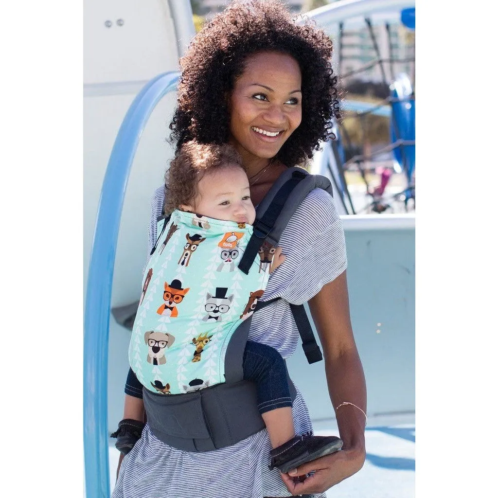 Tula Toddler Carrier - Clever